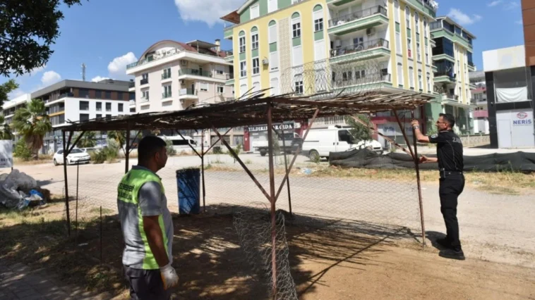 Kepez’de izinsiz kurban satışına sıkı denetim