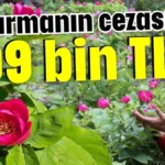 Koparmanın cezası 699 bin TL