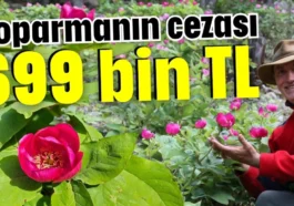Koparmanın cezası 699 bin TL