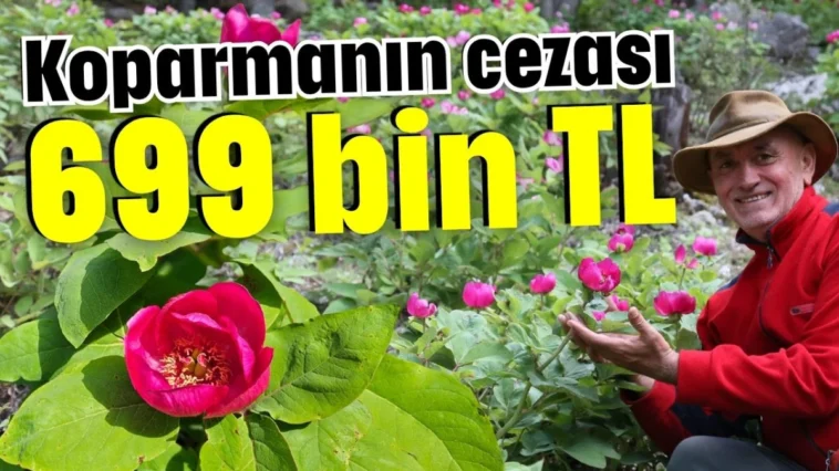 Koparmanın cezası 699 bin TL