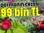 Koparmanın cezası 699 bin TL