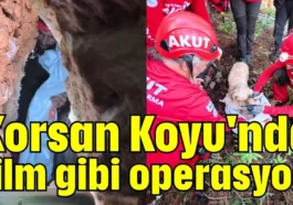 Korsan Koyu'nda film gibi operasyon