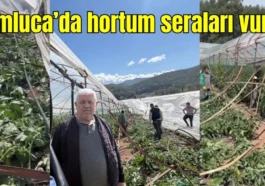 Kumluca'da hortum seraları vurdu