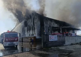 Manavgat’ta fabrika yangını