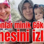Milyonlar minik Gökçe ve annesini izledi