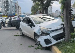 Motosiklete çarpmamak için direksiyonu kırınca ağaca çarptı
