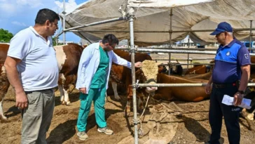 Muratpaşa’da Kurban Bayramı hazırlıkları tamamlandı