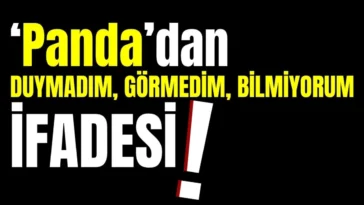 ‘Panda’dan duymadım, görmedim, bilmiyorum ifadesi!