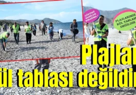 Plajlar kül tablası değildir!