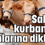 Sahte kurbanlık ilanlarına dikkat!