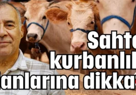 Sahte kurbanlık ilanlarına dikkat!