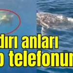 Saldırı anları cep telefonunda
