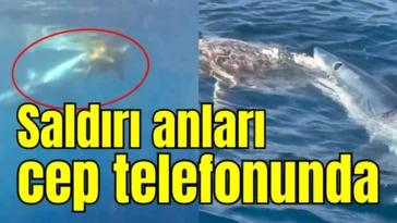 Saldırı anları cep telefonunda