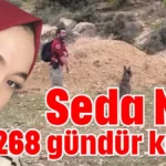 Seda Nur bin 268 gündür kayıp