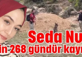 Seda Nur bin 268 gündür kayıp