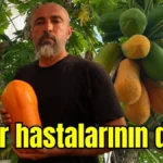 Şeker hastalarının dostu