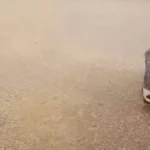 Serik'te dolu paniği yaşandı