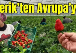 Serik’ten Avrupa’ya