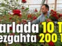 Tarlada 10 TL tezgahta 200 TL