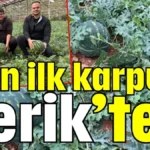 Yılın ilk karpuzu Serik’ten