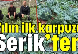 Yılın ilk karpuzu Serik’ten