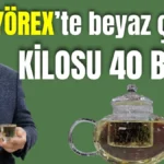 YÖREX'te beyaz çayın kilosu 40 bin TL