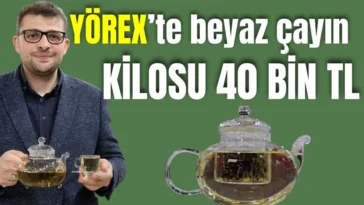YÖREX'te beyaz çayın kilosu 40 bin TL