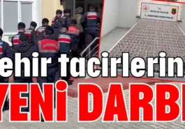 Zehir tacirlerine yeni darbe