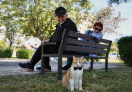 Papyonlu kedi Foça, emekli çiftin hayatını değiştirdi