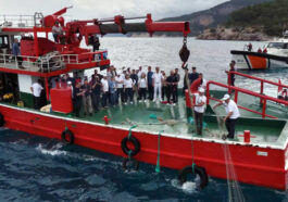 Antalyada deniz dibinden 500 metre uzunluğunda hayalet ağ çıkarıldı