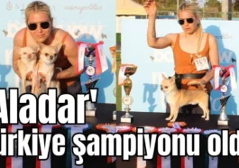 'Aladar' Türkiye şampiyonu oldu