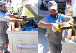 Alanya'da çöpe atılan kaplumbağa kurtarıldı