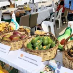 Alanya'nın tescilli lezzetleri tanıtıldı