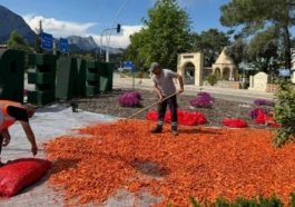 Antalya Kemer'de peyzaj ve çevre düzenlemesi çalışmaları sürüyor
