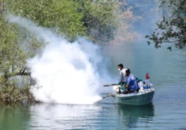 Antalya ve ilçelerinde vektör mücadelesi sürüyor