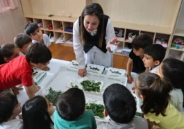 Antalya'da çocuklar okullarda ipekböceği yetiştirecek
