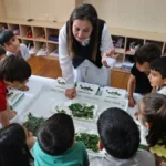 Antalya'da çocuklar okullarda ipekböceği yetiştirecek