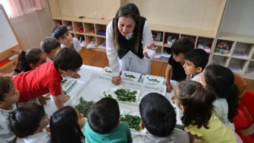 Antalya'da çocuklar okullarda ipekböceği yetiştirecek