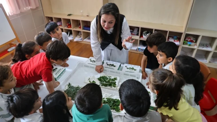 Antalya'da çocuklar okullarda ipekböceği yetiştirecek