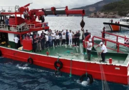 Antalya’da hayalet ağ operasyonu
