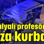 Antalyalı profesör kaza kurbanı