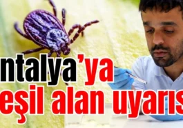 Antalya’ya yeşil alan uyarısı