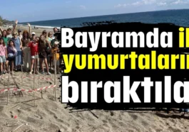 Bayramda ilk yumurtalarını bıraktılar