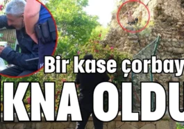 Bir kase çorbaya ikna oldu