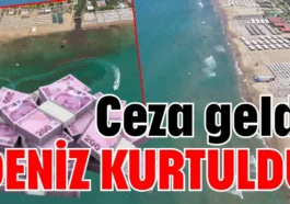 Ceza geldi deniz kurtuldu