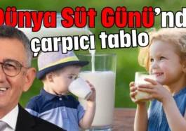 ‘Dünya Süt Günü’nde çarpıcı tablo