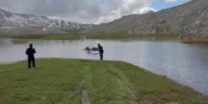 Gölette mahsur kalan araç kurtarıldı