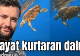 Hayat kurtaran dalış