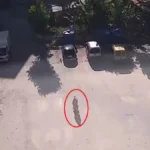 Kedilerin mama kapları çalındı