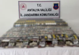 Manavgat’ta 5 bin paket kaçak sigara ele geçirildi
